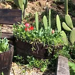 Campingplads Unique Tiny House With Natural Building Techniques *