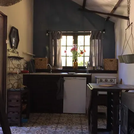 Unique Tiny House With Natural Building Techniques * Figueiró dos Vinhos