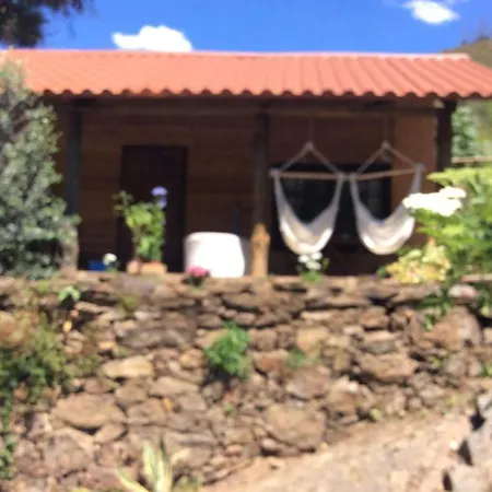 Unique Tiny House With Natural Building Techniques Campingplads
