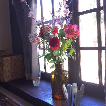 Unique Tiny House With Natural Building Techniques