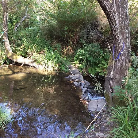 Unique Tiny House With Natural Building Techniques * Figueiro Dos Vinhos