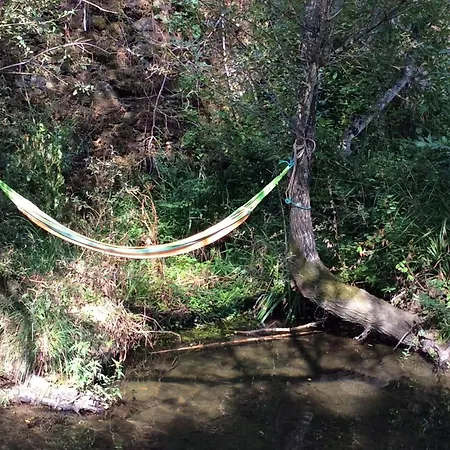 Unique Tiny House With Natural Building Techniques * Figueiro Dos Vinhos