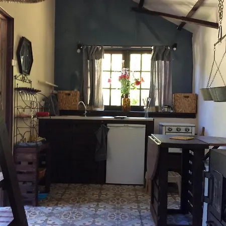 Unique Tiny House With Natural Building Techniques *