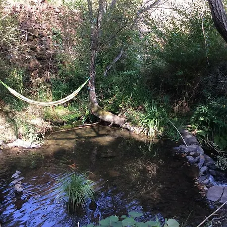 Unique Tiny House With Natural Building Techniques Figueiro Dos Vinhos