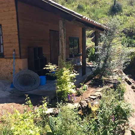 Unique Tiny House With Natural Building Techniques Campingplads