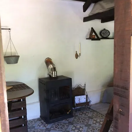 Unique Tiny House With Natural Building Techniques