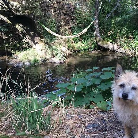 Unique Tiny House With Natural Building Techniques Figueiro Dos Vinhos