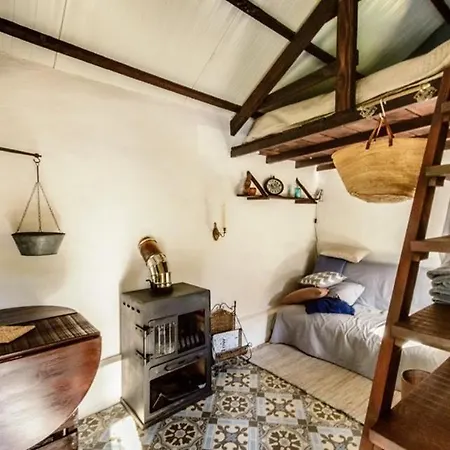 キャンプ場 Unique Tiny House With Natural Building Techniques *