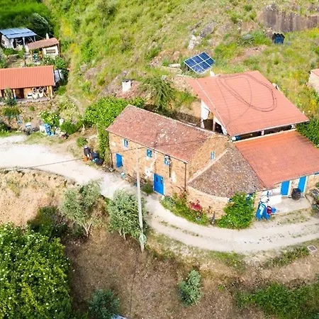 キャンプ場 Unique Tiny House With Natural Building Techniques
