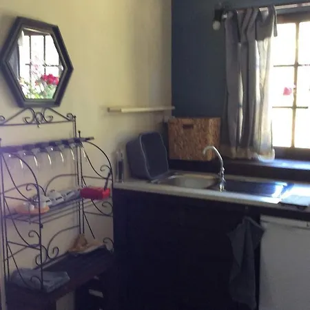 Unique Tiny House With Natural Building Techniques Camping