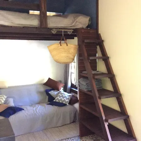 Unique Tiny House With Natural Building Techniques