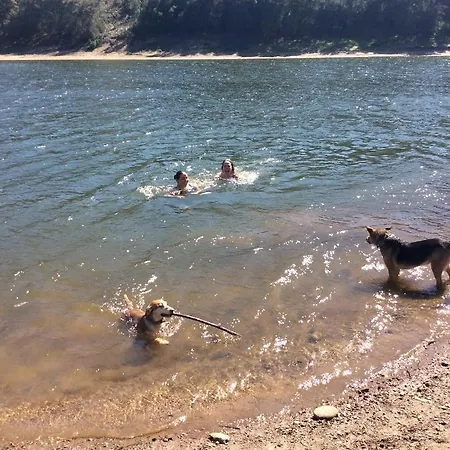 Camping Unique Tiny House With Natural Building Techniques *