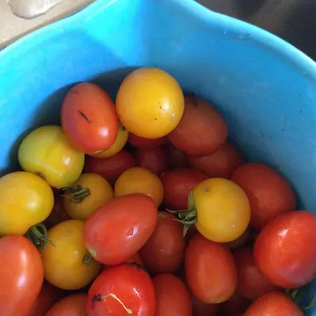 Unique Tiny House With Natural Building Techniques キャンプ場