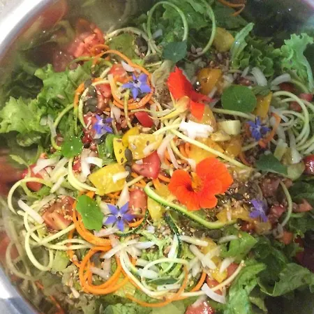 Camping Unique Tiny House With Natural Building Techniques