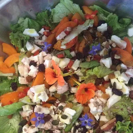 Unique Tiny House With Natural Building Techniques Camping