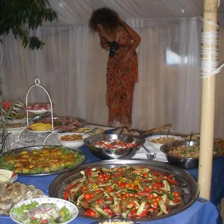 Unique Tiny House With Natural Building Techniques Camping *