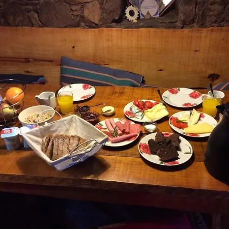 Unique Tiny House With Natural Building Techniques Figueiro Dos Vinhos