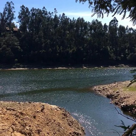 キャンプ場 Unique Tiny House With Natural Building Techniques