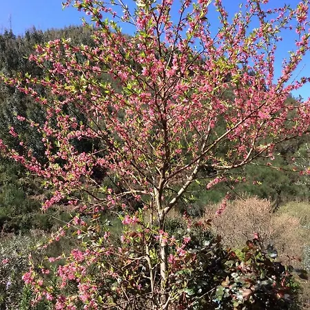 Camping Unique Tiny House With Natural Building Techniques