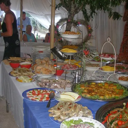 Unique Tiny House With Natural Building Techniques Figueiro Dos Vinhos