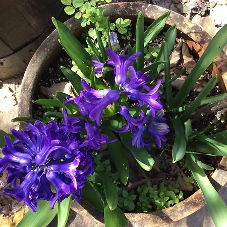 Unique Tiny House With Natural Building Techniques Camping