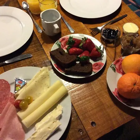 Unique Tiny House With Natural Building Techniques Figueiro Dos Vinhos