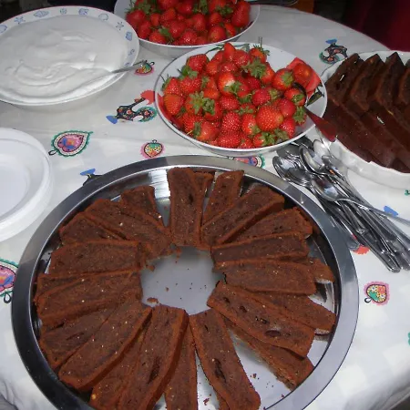 Camping Unique Tiny House With Natural Building Techniques *