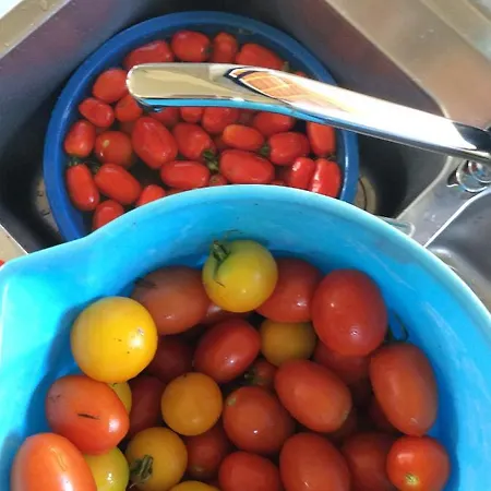 Unique Tiny House With Natural Building Techniques *