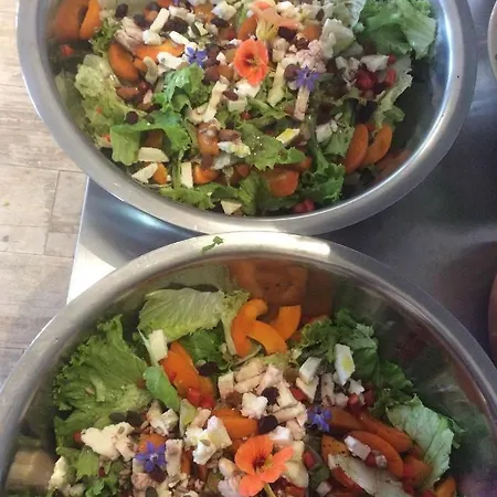 Unique Tiny House With Natural Building Techniques * Figueiro Dos Vinhos