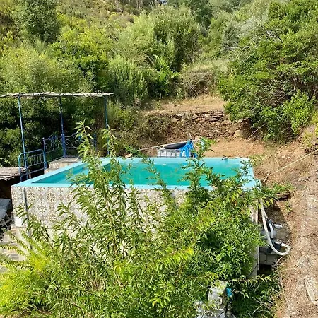Unique Tiny House With Natural Building Techniques Camping Figueiro Dos Vinhos