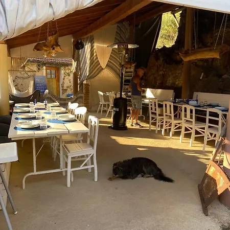 Unique Tiny House With Natural Building Techniques