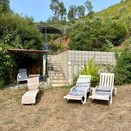 Unique Tiny House With Natural Building Techniques Camping