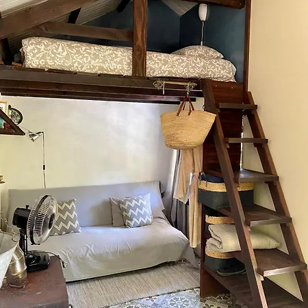 Unique Tiny House With Natural Building Techniques Camping *