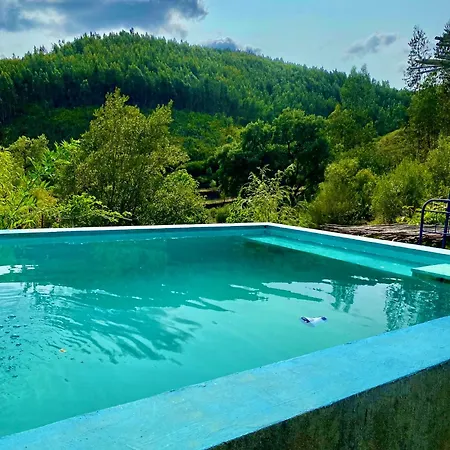 Camping Unique Tiny House With Natural Building Techniques *