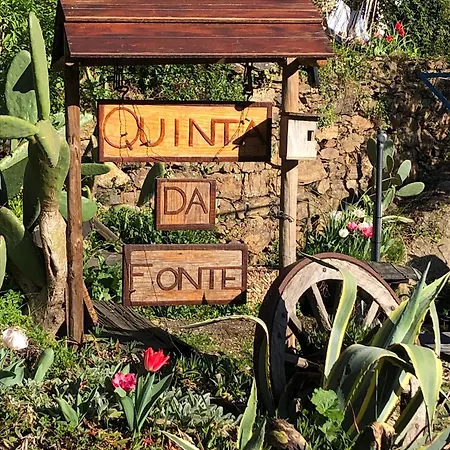 Unique Tiny House With Natural Building Techniques * Figueiro Dos Vinhos