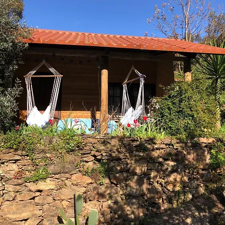 Unique Tiny House With Natural Building Techniques Camping