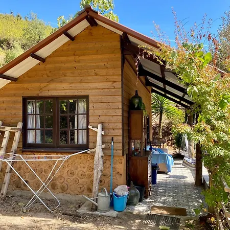 Camping Unique Tiny House With Natural Building Techniques