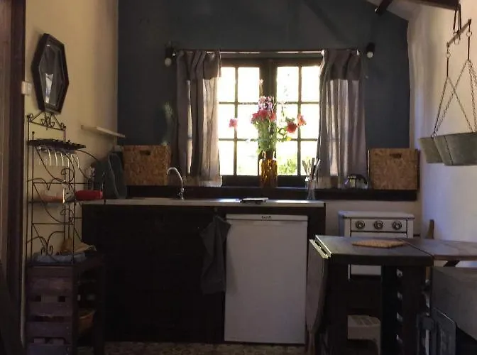 Unique Tiny House With Natural Building Techniques * フィゲイロー・ドス・ヴィーニョス