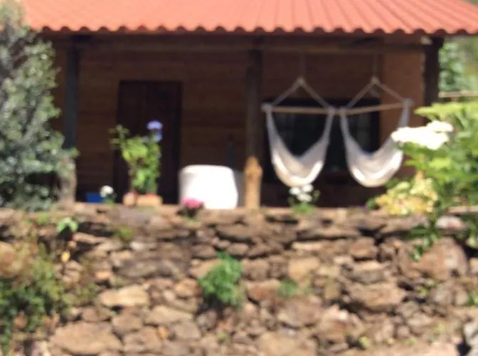 Unique Tiny House With Natural Building Techniques Campingplads