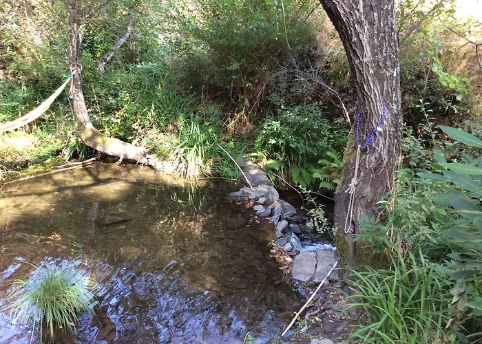 Unique Tiny House With Natural Building Techniques * フィゲイロー・ドス・ヴィーニョス