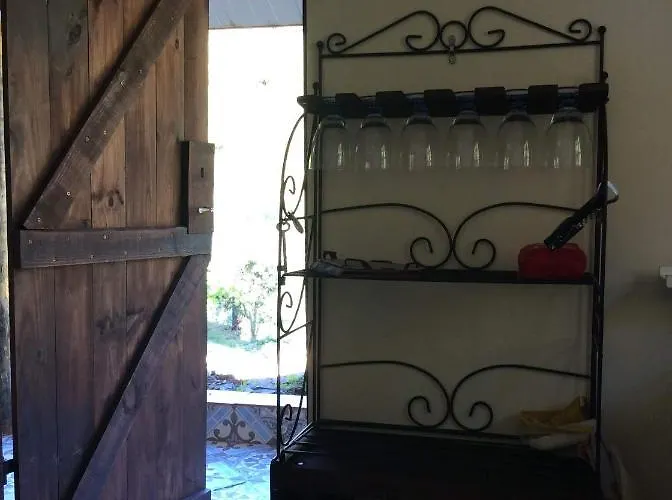 Campingplads Unique Tiny House With Natural Building Techniques Figueiro Dos Vinhos