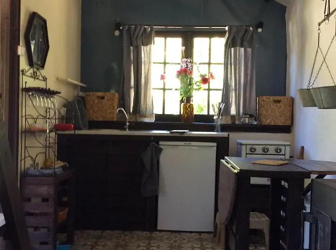 Unique Tiny House With Natural Building Techniques *