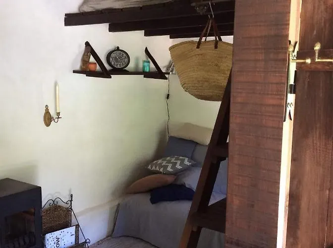 Unique Tiny House With Natural Building Techniques Campingplads