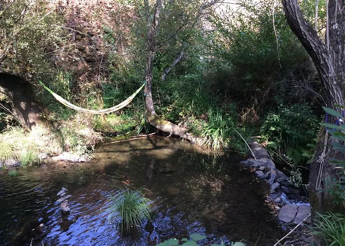 Unique Tiny House With Natural Building Techniques フィゲイロー・ドス・ヴィーニョス