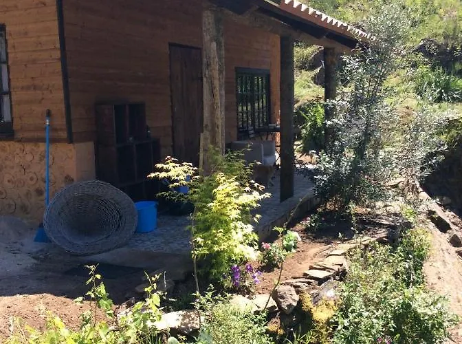 Unique Tiny House With Natural Building Techniques キャンプ場