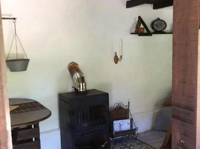 Unique Tiny House With Natural Building Techniques