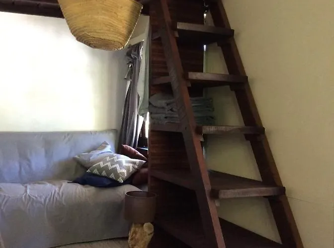 キャンプ場 Unique Tiny House With Natural Building Techniques