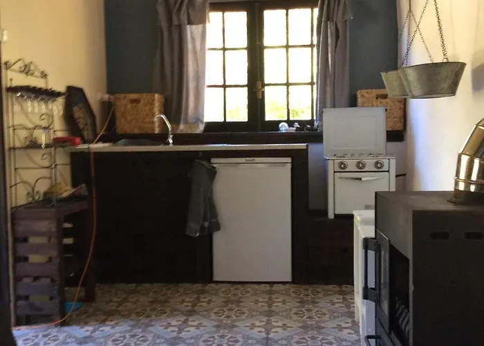 Unique Tiny House With Natural Building Techniques * Figueiro Dos Vinhos