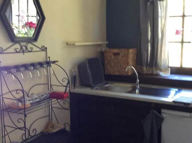 Unique Tiny House With Natural Building Techniques Campingplads