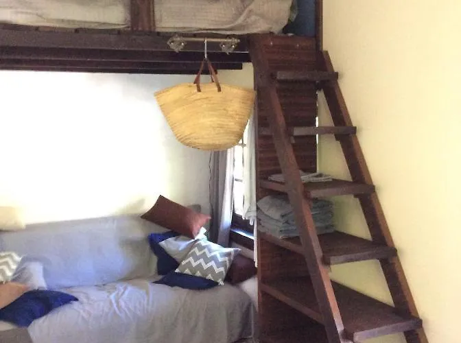 Unique Tiny House With Natural Building Techniques